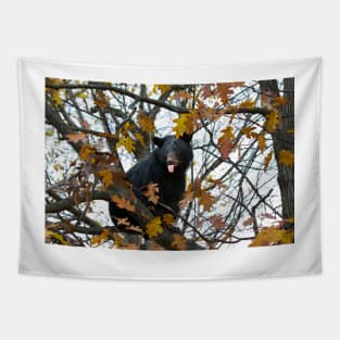 Bear in Tree Tapestry