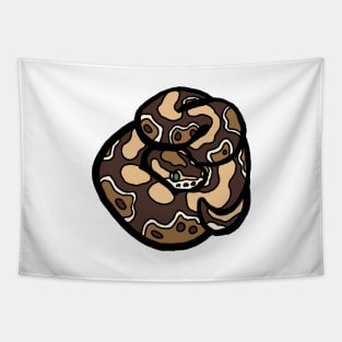 Bold Ball Python - Normal Tapestry