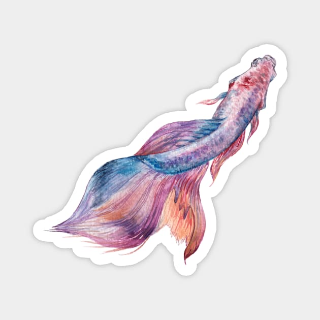 Colorful Pink Betta Fish Magnet by wanderinglaur