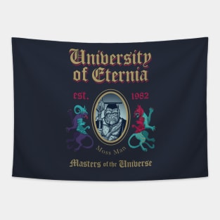 MSc in Universe Model 9 Tapestry