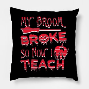 my broom broke, so now i teach Pillow