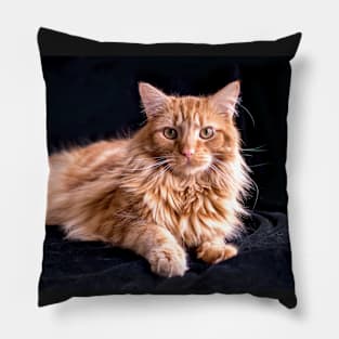 Big yellow cat Pillow