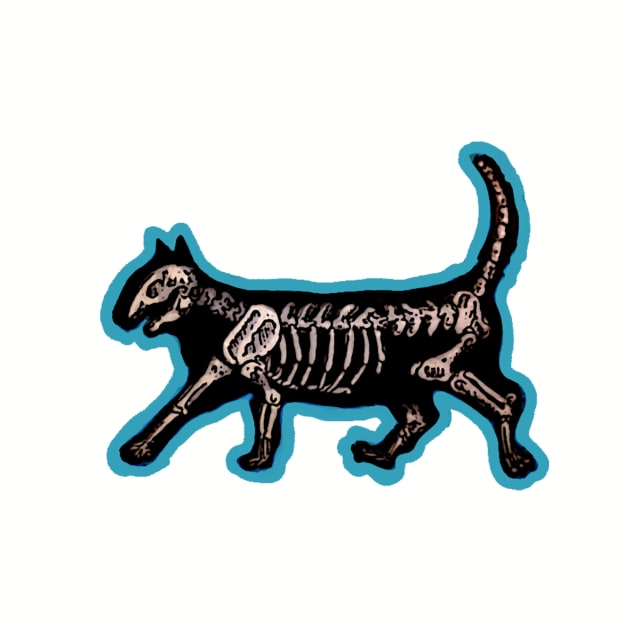 Skeleton of a Kitty by ckrickett