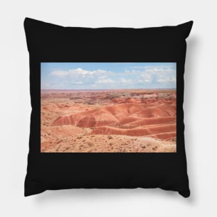 Painted Desert Pillow