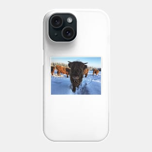 Scottish Highland Cattle Calf 1670 Phone Case