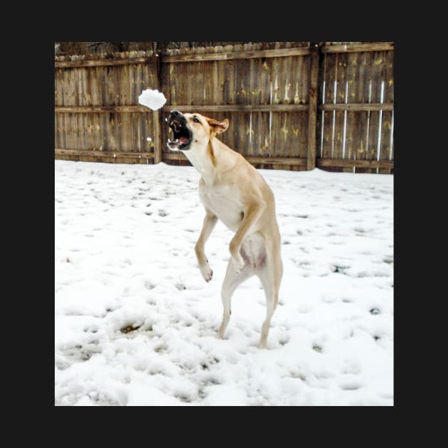 Anatolian shepherd catching a snowball by PandLCreations