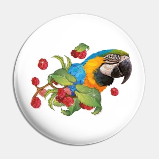 Blue and yellow macaw Pin