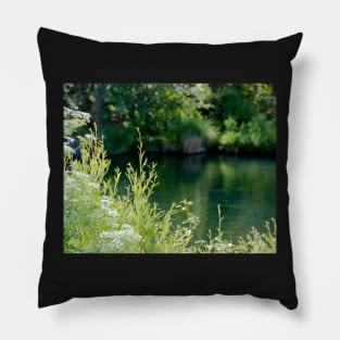 Putah Creek Pillow