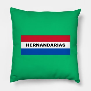 Hernandarias City in Paraguay Flag Pillow