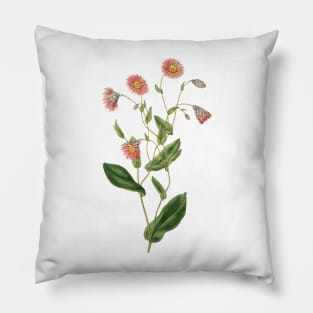 Delicate pink botanical Pillow