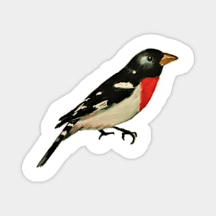 Rose Breasted Grosbeak Magnet