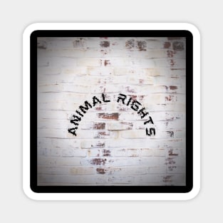 Animal Rights Magnet