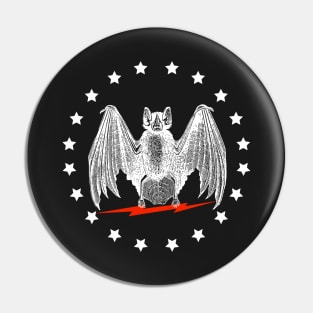 Nocturnal Republic Pin