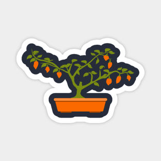 Orange Chili Bonsai in Orange Bonsai Pot Magnet