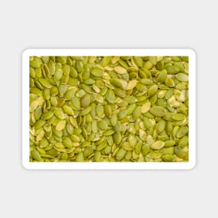 Pumpkin Seeds Food Photograph Magnet