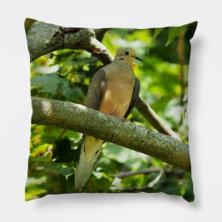 Mourning Dove Perched In a Tree Pillow