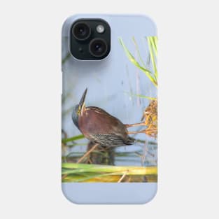 Green Heron Stare Phone Case