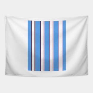 Hearts Retro Sky Blue, White and Maroon Stripes Away 1996 Tapestry