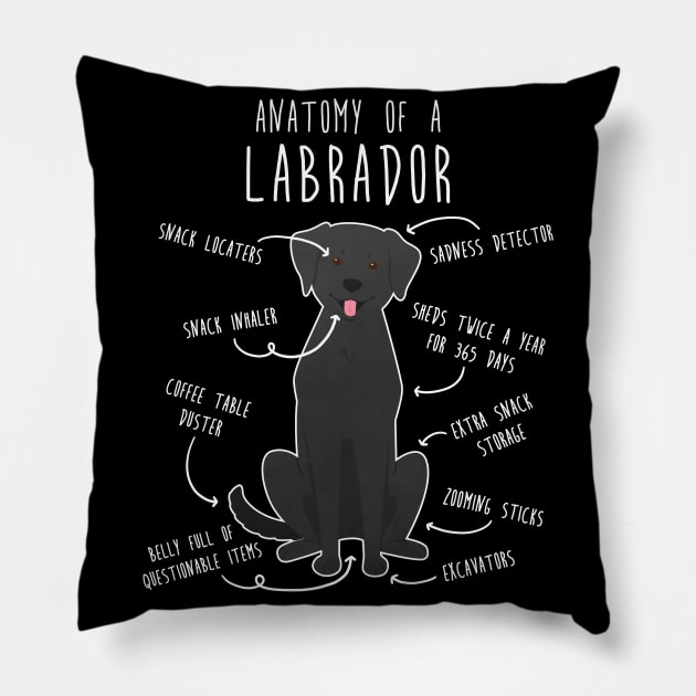 Black Lab Pillow, Dog Cushion, Labrador Retriever, Black Lab Gifts, Dog  Lover Gifts, Dog Throw Pillow 