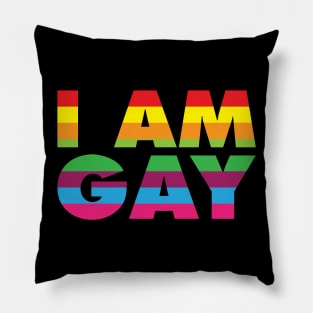 I am Gay Pillow