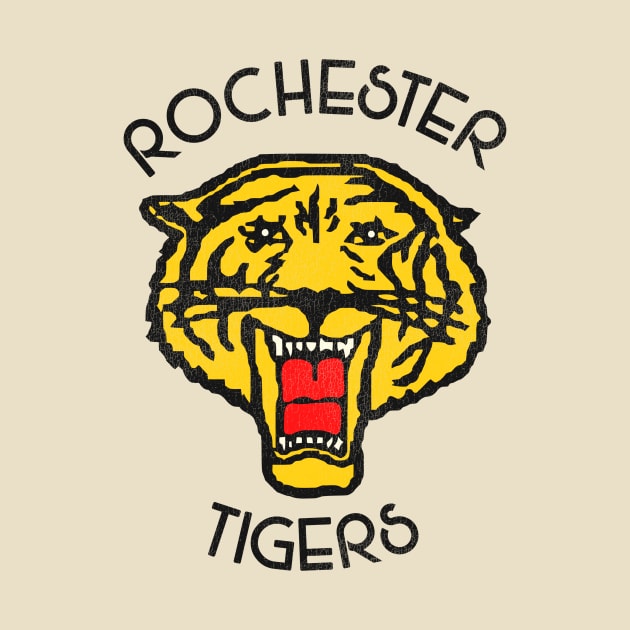 Defunct Rochester Tigers Football Team by Defunctland