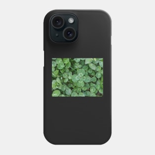 Finding  Luck 2 Phone Case