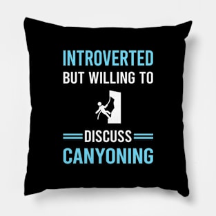 Introverted Canyoning Canyon Canyoneering Pillow