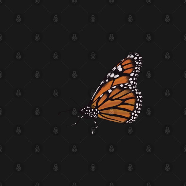 Monarch Butterfly by madagan11