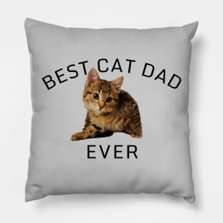 Best Cat Dad Ever Cute Pillow