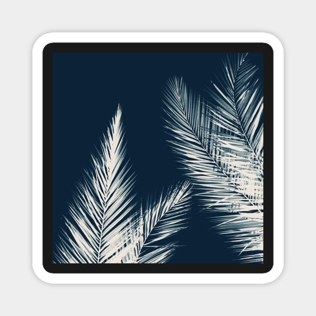 Palm Cyanotype #2 Magnet by ALICIABOCK