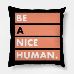 be a nice human Pillow