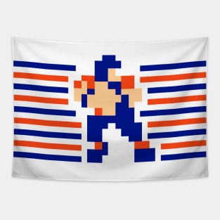 Tecmo QB Stripes - Denver Tapestry