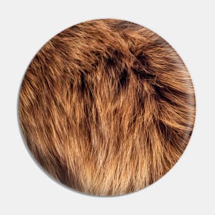 long Fur in brown Pin