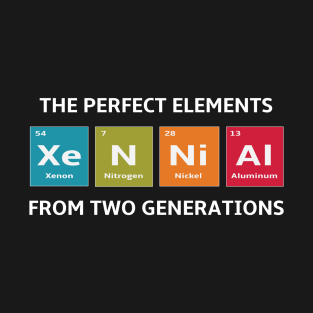 Xennials the Perfect Elements of Two Generations T-Shirt
