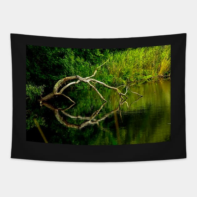 The art pond - Trébabu Tapestry by rollier