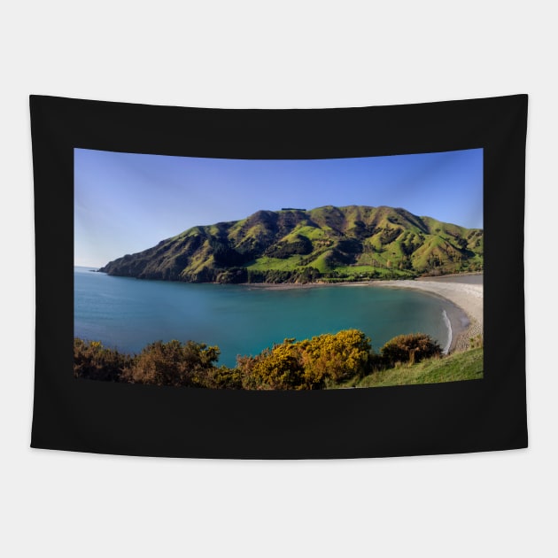 Cable Bay Panorama Tapestry by charlesk