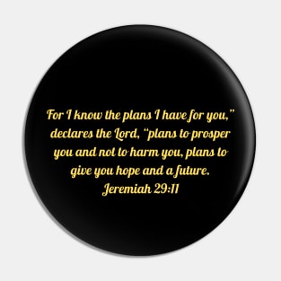 Bible Verse Jeremiah 29:11 Pin