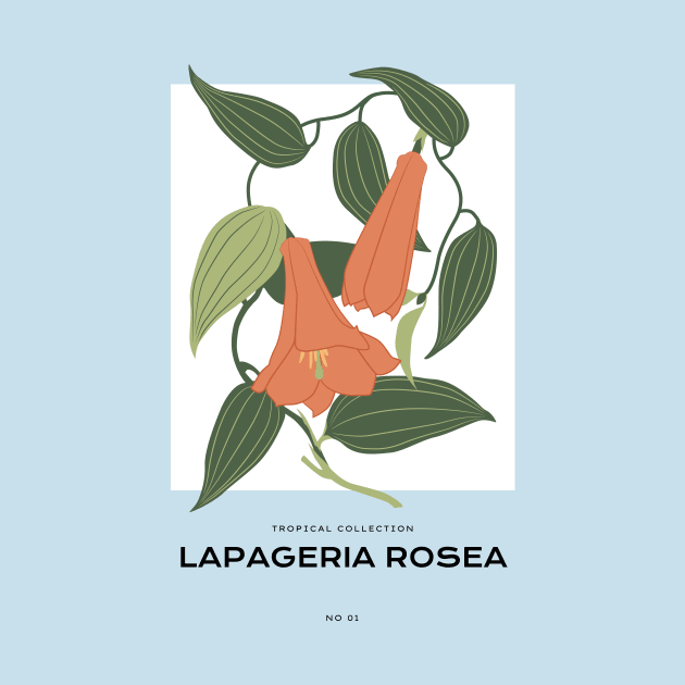 Lapageria Rosea by JunkyDotCom