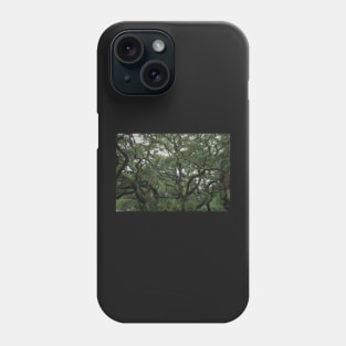 Old Tree in St. Augustine Phone Case