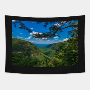 Cloudland Canyon Tapestry