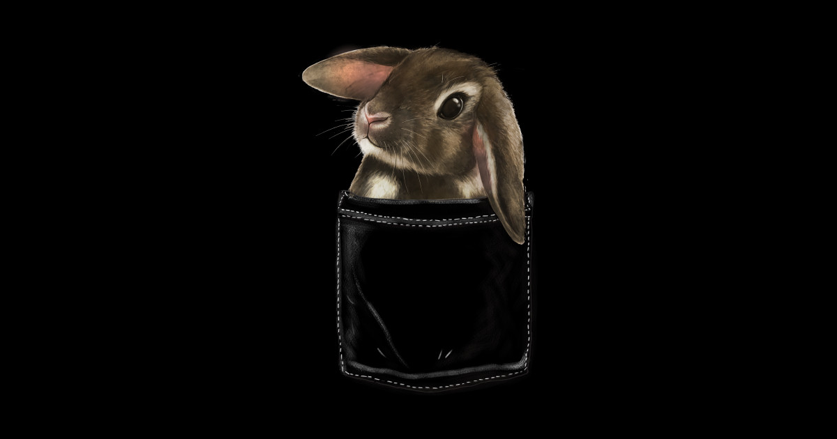Baby Bunny in Pocket - Bunny - Magnet | TeePublic