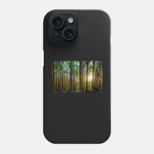 Sunshine Through a Redwood Forest Phone Case