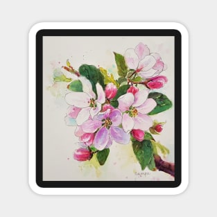 Apple blossom Magnet