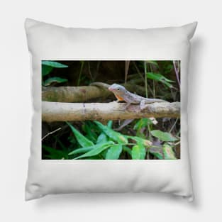 Cute Lizard Pillow