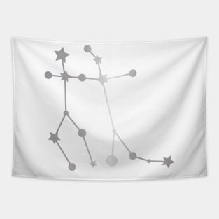 Gemini Zodiac Constellation in Silver Tapestry