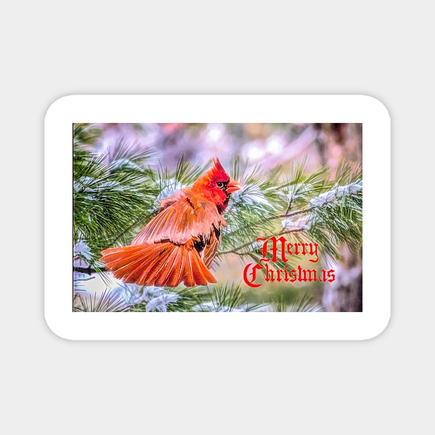 Merry Christmas Magnet by Tarrby