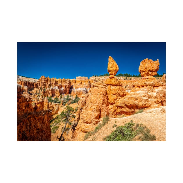 Bryce Canyon National Park by Gestalt Imagery