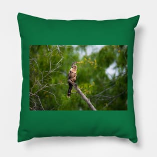 Posing Anhinga aka Snake Bird Pillow