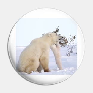 Polar bear cub playing with Mom Pin