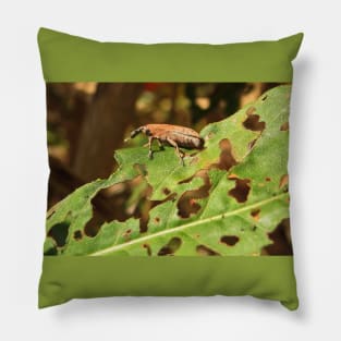 Weevil No.1 Pillow